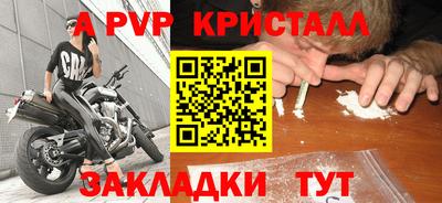 стаф Берёзовский