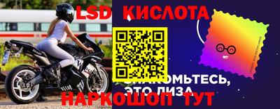 стаф Берёзовский
