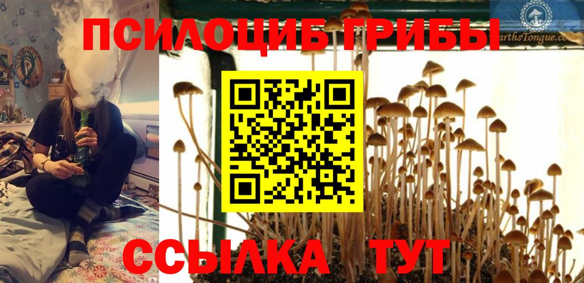 Галлюциногенные грибы GOLDEN TEACHER Клин